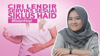 Ciri-Ciri Lendir Serviks Sesuai Dengan Siklus Menstruasi