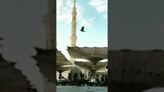 Viral penampakan Baitullah 3 #shorts