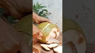 Sliced Coconut Peeling Styles big coconut cutting knife part 69