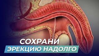 Как СОХРАНИТЬ МОЩНУЮ ЭРЕКЦИЮ в зрелом возрасте? Восстановите потенцию за считанные дни БЕЗ ТАБЛЕТОК