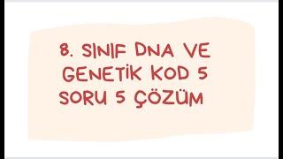 8. SINIF  DNA VE GENETİK KOD  5 SORU 5 ÇÖZÜM