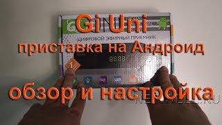 Gi UNI обзор и настройка