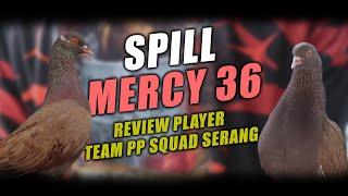 SPILL MERCY 36 - TEAM PP SQUAD  MERPATI KOLONG