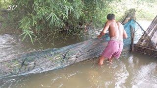 Khmer Cast Net Fishing - Net Fishing In Banteaymeanchey Province - Type Of Net Fishing