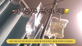 쌍둥이 임산부 입원  2829주  경부길이 1.2cm  조기수축  조산기