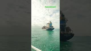 #ship #sea #sealife #shortvideo #viral