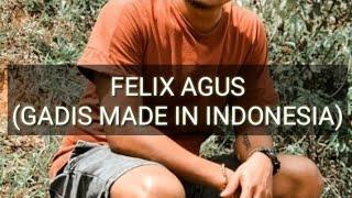 GADIS MADE IN INDONESIA LIRIK -  FELIX AGUS