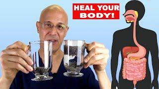 The CHIA SEED Life in Your Digestive System…Heart Arteries Insulin Resistance Obesity Cancer