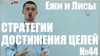 Стратегии достижения целей в тайм-менеджменте. Ежи и Лисы. Уроки тайм-менеджмента  Выпуск 44