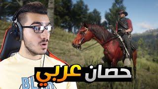 أفضل حصان عربي باللعبة   ريد ديد  2 RDR2 