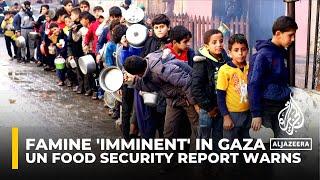 Catastrophic famine is ‘imminent’ in northern Gaza IPC Report Warns