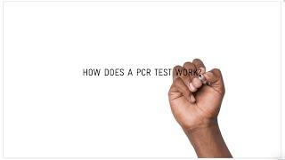 How does a COVID19 PCR test work?