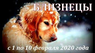 #БЛИЗНЕЦЫ #с1по10февраля #Таропрогноз на первую декаду февраля 2020 года от Татьяны Байер