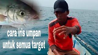 Cara jitu iris umpan untuk target ikan laut #papa.rette Mania