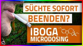 IBOGA Infovideo Microdosing Legalität Wirkung