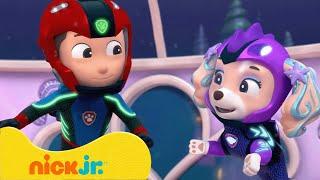 Щенячий патруль  Щенячий патруль против Мэра Хамдингера  Nick Jr. Cyrillic