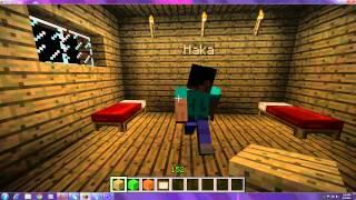 Funny House In MINECRAFT