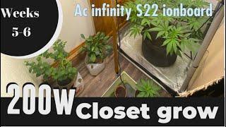 AC Infinity s22 light grow Skywalker OG Weeks 5-6 veg #ilovegrowingmarijuana #ilgm_official