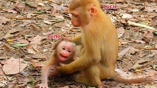 Baby Luno cries hugs her sister Lucie for help take care her because mum Luna less of her