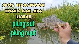 Mancing  di desa NgemplakKabupaten Kudus. #mancingnila  #mancingmania #mancingnyobok #mancingikan