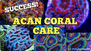 Acan Coral Care 100% Success 