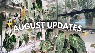 A whole lotta plant updates featuring  thrips 