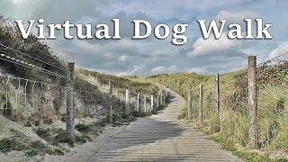 Dog Walk TV  TV for Dogs - Virtual Dog Walk at The Beach