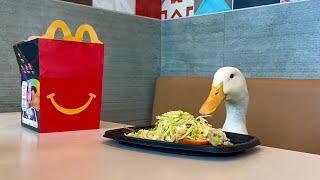 I took my duck to the World’s Largest McDonalds 