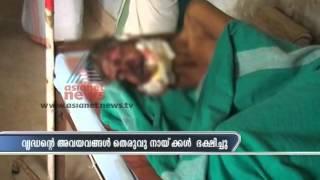 Street Dogs brutally attacked an old man in KumaliIdukki