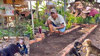 Monkey BiBi asked his father to quickly build a yard so he could play with his puppy