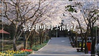 용인의 꽃캉스 명소 ‘농촌테마파크’로 오세요