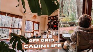 Cozy Off-Grid Cabin Escape  Reconnecting in Nature