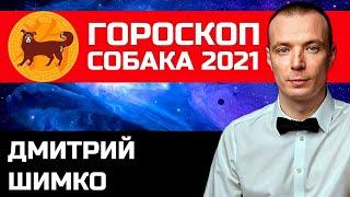 Гороскоп Собака -2021. Астротиполог Нумеролог - Дмитрий Шимко