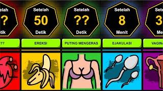 18+  Bagaimana Tubuh Bekerja Saat Berhubungan IntimSeks ? Timeline