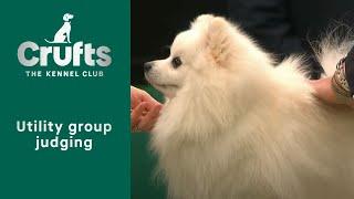 Group Judging Utility and Presentation  Crufts 2023