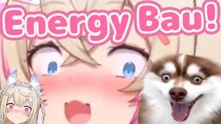 Energy BauBau