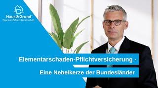 Elementarschaden-Pflichtversicherung - Eine Nebelkerze der Bundesländer