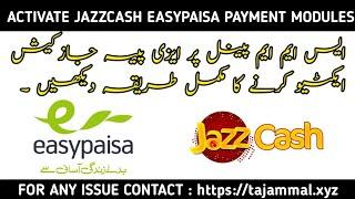 HOW TO ACTIVATE EASYPAISA JAZZCASH AUTO PAYMENT MODULES IN YOUR SMM PANEL  TAJAMMAL SMM PANEL