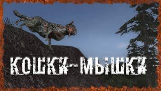 Кошки мышки S.T.A.L.K.E.R. ОП 2.2 Народная солянка