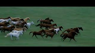 Rossini William Tell Overture Final with Horse Run