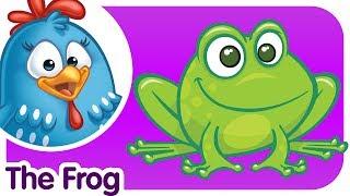 The Frog Doesnt Wash His Feet - Lottie Dottie Chicken - Kids songs and nursery rhymes in english