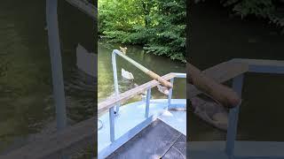 Wide beam cruising #boating #widebeam #canalboat #canal #diy