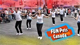 KOLBASTIBeautiful Turkish Boys & Girls Street DanceKolbastı DansHarika dans FUN Pets Canada