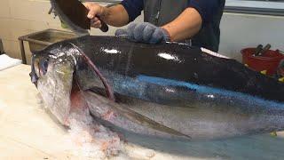 Amazing skill！Bigeye tuna cutting MASTER - How to cut bigeye tuna for sashimi  驚人的技巧！大目鮪魚切割大師