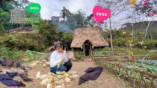 FULL- the last videos of the bushcraft asian girl about the whole process of building the farm 2021