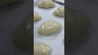 Salt Bread Dough Crispy on the outside Chewy on the inside Yummy #shortvideo #shorts #saltbread