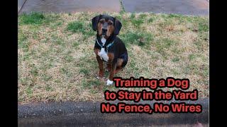 Training a Dog to stay in the Yard -No Fence  No Wires Nothing