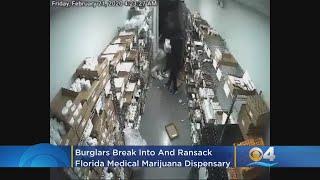 SEE IT Burglars Break Into & Ransack Florida Medical Marijuana Dispensary