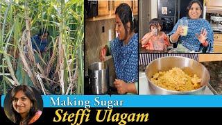 Making Sugar from Sugarcane Vlog in Tamil  Will be back in April 2022