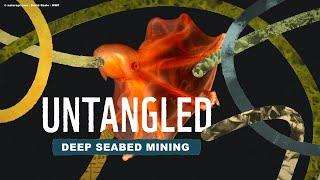 Untangled Deep seabed mining